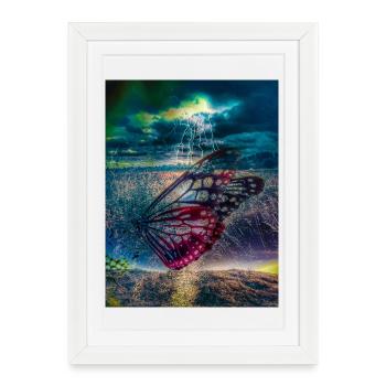Papillon sous la Lumière de la Tempête - Affiche encadrée (27 × 37 cm) - blanc - Devant