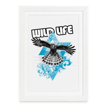 Free Eagle and Chart - Framed poster (27 × 37 cm) - white - Front