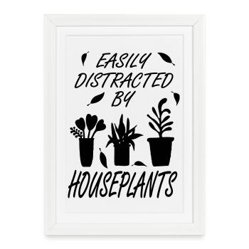 Facilement distrait par les plantes d’intérieur - Affiche encadrée (27 × 37 cm) - blanc - Devant