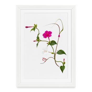 Miracle Flower Zen Blossoms Design - Framed poster (27 × 37 cm) - white - Front