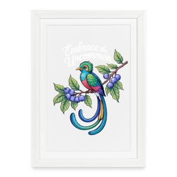 Oiseau coloré : Embrassez l’Inconnu - Affiche encadrée (27 × 37 cm) - blanc - Devant