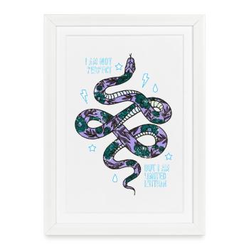 Snake - Framed poster (27 × 37 cm) - white - Front