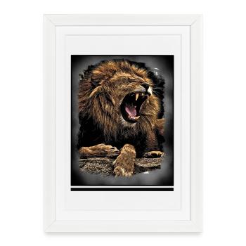 Lion - Affiche encadrée (27 × 37 cm) - blanc - Devant