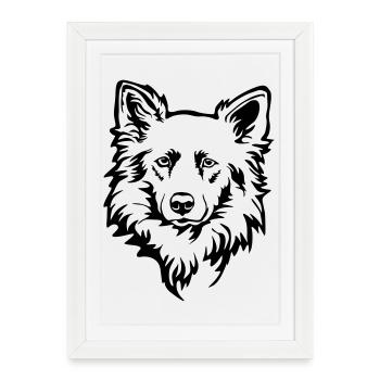 Harzer Fuchs (Atldeutscher Hütehund) head - Framed poster (27 × 37 cm) - white - Front