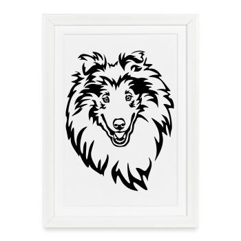 Collie Head - Framed poster (27 × 37 cm) - white - Front
