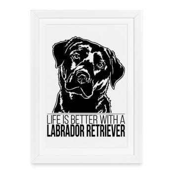 La vie de Labrador Retriever est meilleure Chiens Wilsigns - Affiche encadrée (27 × 37 cm) - blanc - Devant