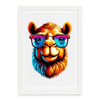 Camel with sunglasses - Framed poster (27 × 37 cm) - white - Front