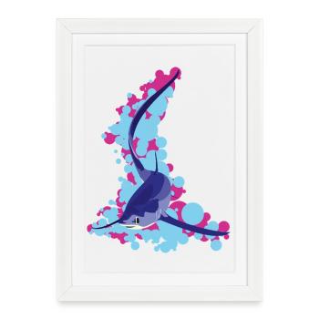 Requin-renard (Alopias supersiloucus) - Affiche encadrée (27 × 37 cm) - blanc - Devant