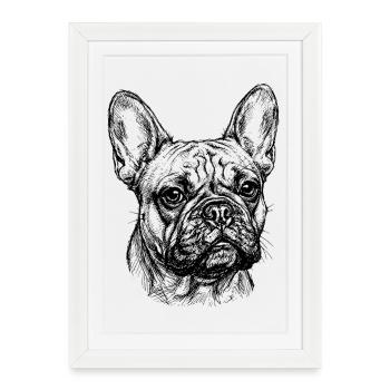 Bouledogue Français - Dessin - Affiche encadrée (27 × 37 cm) - blanc - Devant