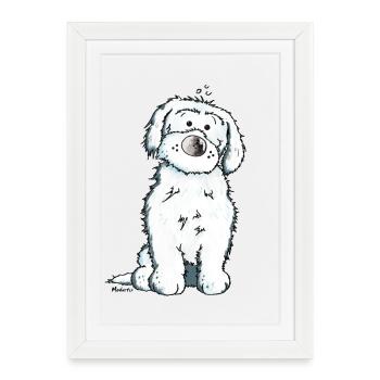 Bichon Maltaise Chien - Affiche encadrée (27 × 37 cm) - blanc - Devant