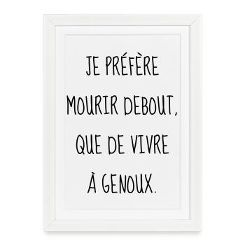 Cinéma / Citation / Série télé / Geek - Affiche encadrée (27 × 37 cm) - blanc - Devant