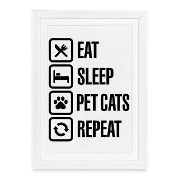Eat Sleep Pet cats Repeat - Framed poster (27 × 37 cm) - white - Front