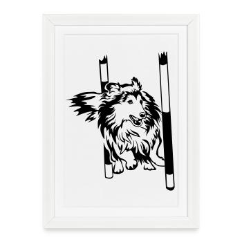 Sheltie - Affiche encadrée (27 × 37 cm) - blanc - Devant