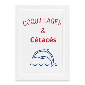 Coquillages et cétacés - Affiche encadrée (27 × 37 cm) - blanc - Devant