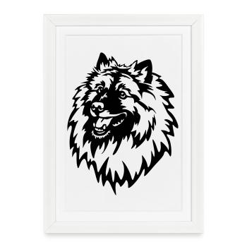 Tête de Wolfsspitz - Affiche encadrée (27 × 37 cm) - blanc - Devant