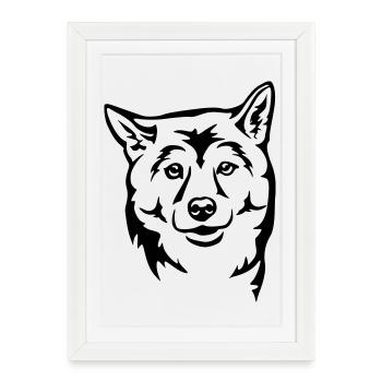 Tête de Shiba - Affiche encadrée (27 × 37 cm) - blanc - Devant