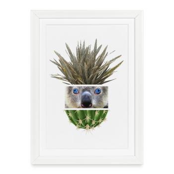 Koala Azur Cactus Collage - Affiche encadrée (27 × 37 cm) - blanc - Devant