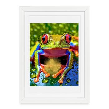 Magical Frog - Framed poster (27 × 37 cm) - white - Front