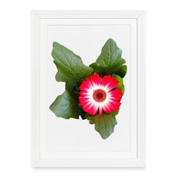 Aster – Poésie d’automne en vers - Affiche encadrée (27 × 37 cm) - blanc - Devant