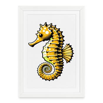 Hippocampe - Affiche encadrée (27 × 37 cm) - blanc - Devant