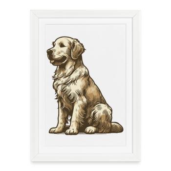 Golden retriever - Affiche encadrée (27 × 37 cm) - blanc - Devant
