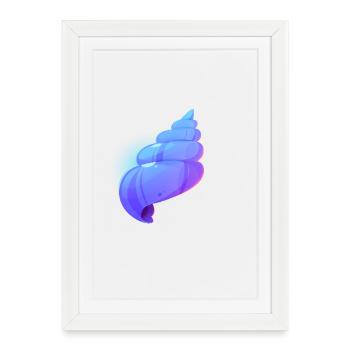 Tropical Shell - Framed poster (27 × 37 cm) - white - Front