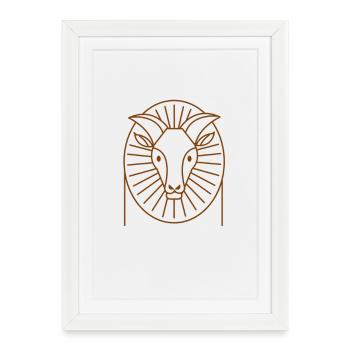 Tahr de l’Himalaya - Affiche encadrée (27 × 37 cm) - blanc - Devant