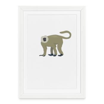 Langur élégant - Affiche encadrée (27 × 37 cm) - blanc - Devant