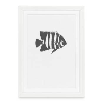 Amazing Archerfish - Framed poster (27 × 37 cm) - white - Front