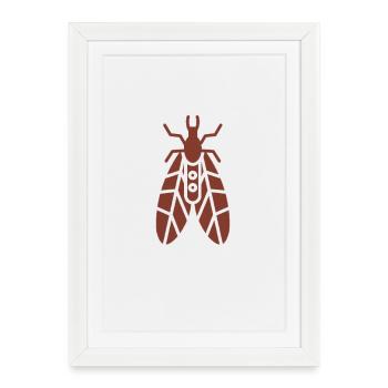 Phrygane fragile - Affiche encadrée (27 × 37 cm) - blanc - Devant