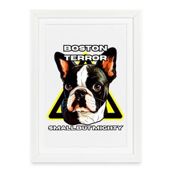 Boston Terrier terror shirt small but mighty - Framed poster (27 × 37 cm) - white - Front