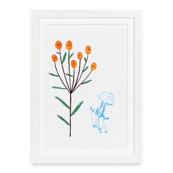 Méduse - Affiche encadrée (27 × 37 cm) - blanc - Devant