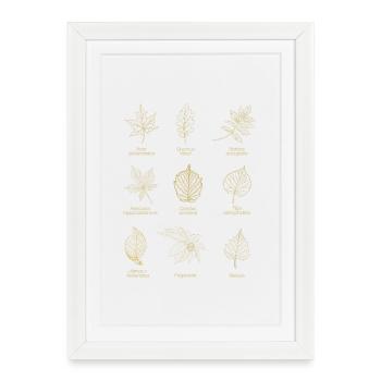 Botanical Leaves of Europe - Natural Design Golden Brown - Framed poster (27 × 37 cm) - white - Front