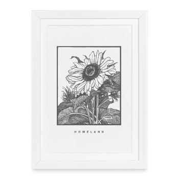 Cadre Tournesol Patrie - Affiche encadrée (27 × 37 cm) - blanc - Devant