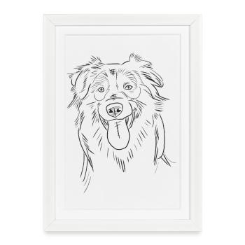 Drôle berger australien Aussie croquis dessin au trait - Affiche encadrée (27 × 37 cm) - blanc - Devant