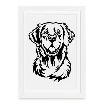 Golden Retriever Head - Framed poster (27 × 37 cm) - white - Front