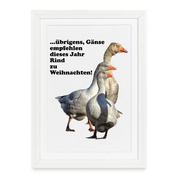 Christmas Goose Recommendation Beef - Framed poster (27 × 37 cm) - white - Front