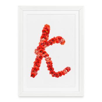 Initiale K faite de pavots - Affiche encadrée (27 × 37 cm) - blanc - Devant