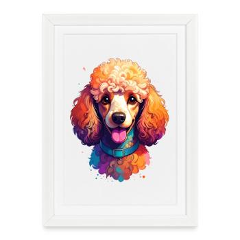 Caniche - Affiche encadrée (27 × 37 cm) - blanc - Devant