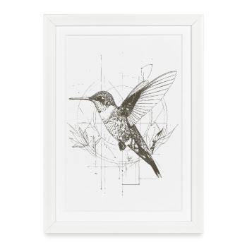 Colibri géométrique avec filet - Affiche encadrée (27 × 37 cm) - blanc - Devant