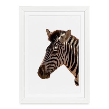 Zebra Head - Framed poster (27 × 37 cm) - white - Front
