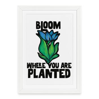 Fleuris là où tu es planté - Affiche encadrée (27 × 37 cm) - blanc - Devant