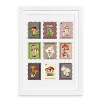 Conception des champignons - Affiche encadrée (27 × 37 cm) - blanc - Devant
