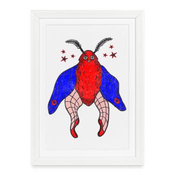 Papillon rouge aux ailes bleues - Affiche encadrée (27 × 37 cm) - blanc - Devant