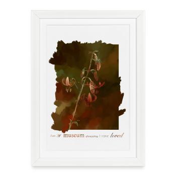 Lys - Affiche encadrée (27 × 37 cm) - blanc - Devant