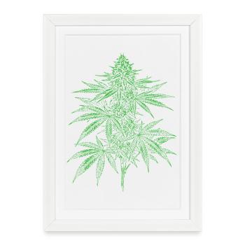 Feuille de cannabis verdoyante - Affiche encadrée (27 × 37 cm) - blanc - Devant