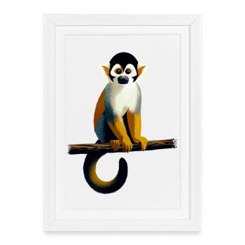 Singe écureuil - Affiche encadrée (27 × 37 cm) - blanc - Devant