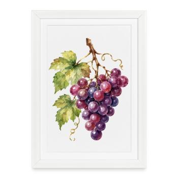 Grappe de raisins aquarelle - Affiche encadrée (27 × 37 cm) - blanc - Devant