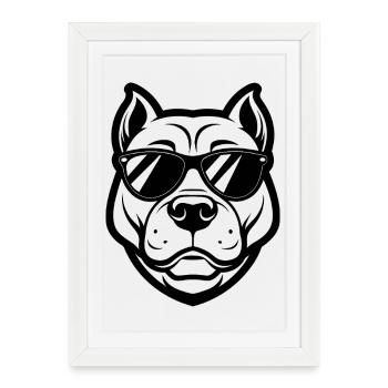 Lunettes de soleil Pitbull - Affiche encadrée (27 × 37 cm) - blanc - Devant