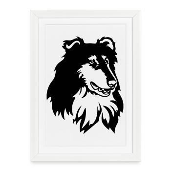 Collie Head - Framed poster (27 × 37 cm) - white - Front
